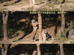 -杭州野生动物世界