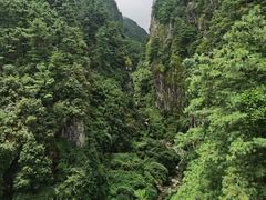 -苍山感通索道
