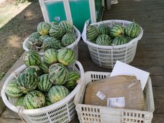 -前小桔亲子创意农场·草莓采摘·露营烧烤