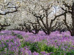 -江苏三台山国家森林公园