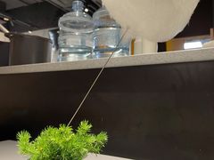 盆栽棉花糖-小大董·烤鸭(观景餐厅·南京西路店)