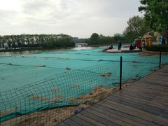 -大兴滨河森林公园