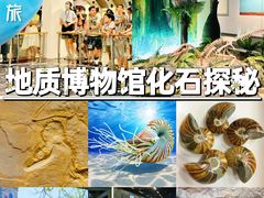 -中国地质博物馆