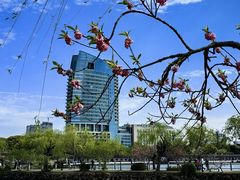 -无锡蠡湖国家湿地公园-蠡园