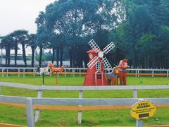 -太阳岛度假酒店