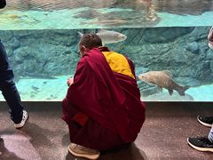-上海大自然野生昆虫馆(东方明珠·爬宠昆虫探索中心)