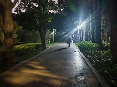 -晓港公园