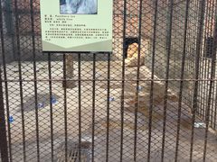 -保定市动物园