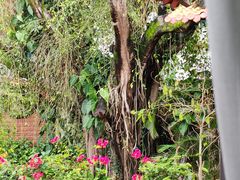 -后谷咖啡(建设巷店)