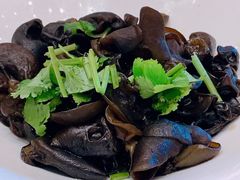 -太湖饭店玉兰厅(自助餐厅)