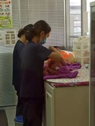 点击看大图 -弗蕾亚·和月月子调理院(东湖店)