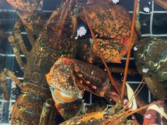 -和源祥·日照菜扛把子(万平口一店)