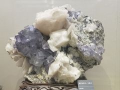 -安徽省地质博物馆