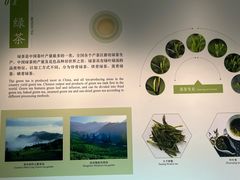 -中国茶叶博物馆(双峰馆区)