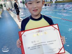 -鲨鱼游泳培训中心