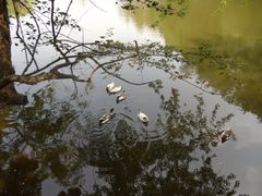 -韶山毛泽东同志故居