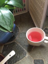 -娇玫荟SPA