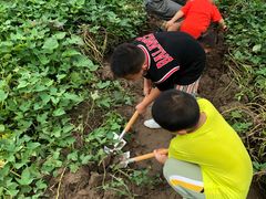 -前小桔亲子创意农场·草莓采摘·露营烧烤