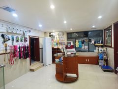 -艾贝尔宠物医院·24H转诊中心·肿瘤猫专科(江宁双龙店)