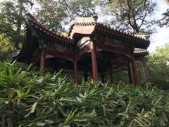 -香山公园