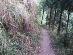 -终南山国家森林公园