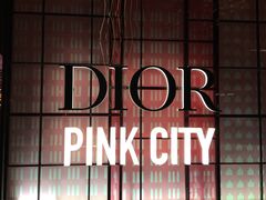 -Dior迪奥(上海世茂广场店)