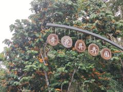 -中国科学院西双版纳热带植物园