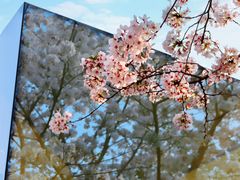 -龙美术馆(西岸馆)