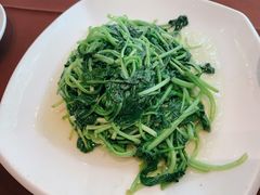 鸡毛菜-老客站酒楼(金花南路店)