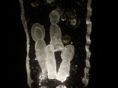 android_upload_pic-上海琉璃艺术博物馆
