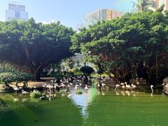 -九龙公园