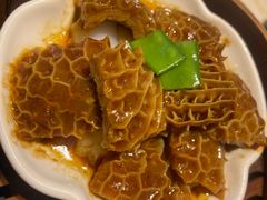 -点都德·毕德寮