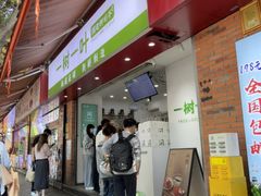 -一树一叶·福建茶档(石鼓路店)