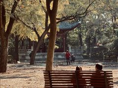 -汇龙潭