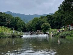 -广州市石门国家森林公园