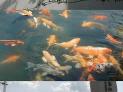 -中国宣纸文化园