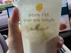 -猫的魔法密林(衣裳街店)