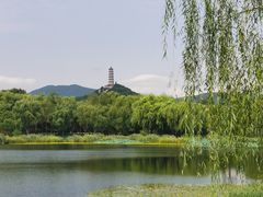 -北坞公园