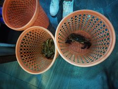 -501號台州海鲜餐厅(海创园店)