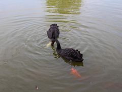 -常州花鸟园酒店(西太湖品牌优选店)