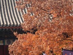 -香山公园