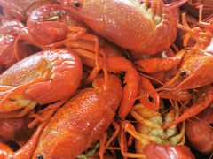 -小李子油焖大虾向阳总店