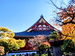 -浅草寺