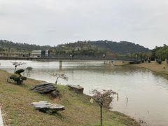 -东莞植物园