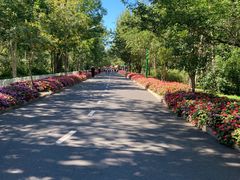 -黑龙江省森林植物园