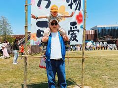 -黄海国家森林公园