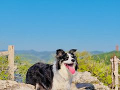-利云铁锅炖·农家院·团建·民宿(金海湖店)
