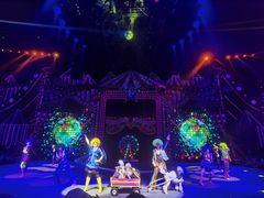 -珠海横琴长隆《卡卡虎奇遇记》