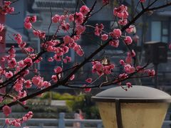 -望江楼公园