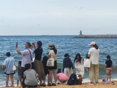 -日照灯塔风景区